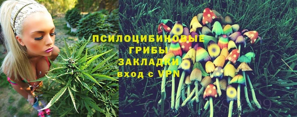 ECSTASY Магас
