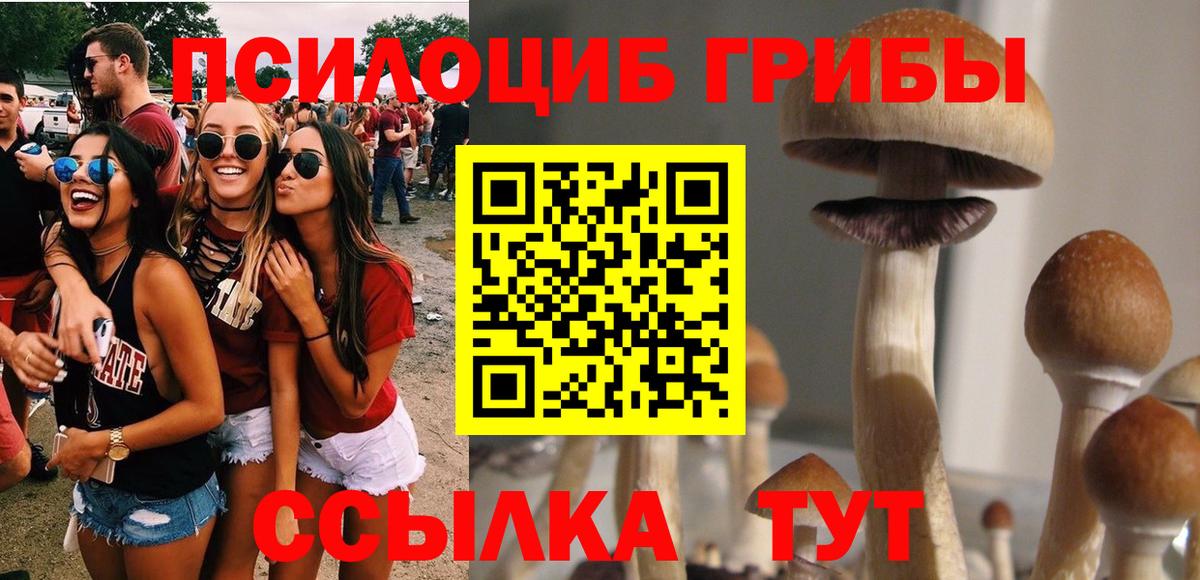 Псилоцибиновые грибы GOLDEN TEACHER  Вход с VPN  Скопин 